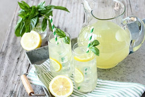 Bubbs Seltzer Recipes List